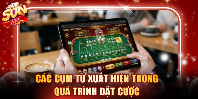 Các cụm từ xuất hiện trong quá trình đặt cược