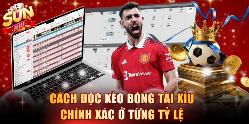 Cách đọc kèo bóng Tài Xỉu chính xác ở từng tỷ lệ